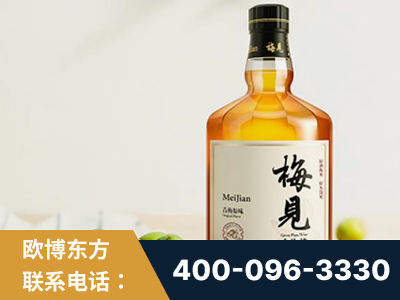 卫辉-梅见青梅酒